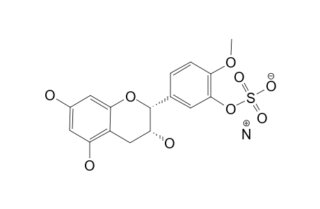 4'-O-METHYLEPICATECHIN-3'-SULFATE_AMMONIUM_SALT