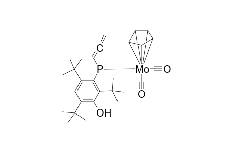 {P-[2,4,6-tri(t-Butyl)hydroxyphenyl-P-(1',2'-propadienyl)phosphanediyl} {dicarbonyl)(cyclopentadienyl molybdenium