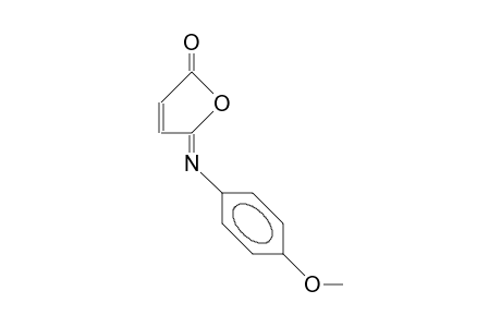 anti-N-Para-anisyl-maleisoimide