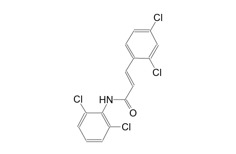 (2E)-3-(2,4-dichlorophenyl)-N-(2,6-dichlorophenyl)-2-propenamide