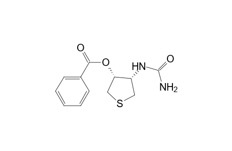 cis-3-phenylcarbonyloxy-4-carbamoylamino-1-thia-cyclopentane