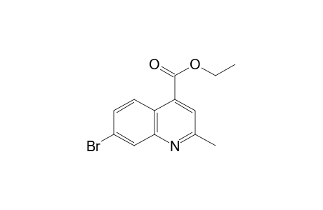 7-bromo-2-methylcinchoninic acid, ethyl ester