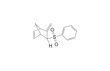 (endo)-3-Methylene-2-(phenylsulfonyl)bicyclo[2.2.1]hept-5-ene