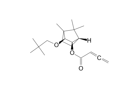 2,3-Butadienoic acid, 3-(2,2-dimethylpropoxy)-4,7,7-trimethylbicyclo[2.2.1]hept-2-yl ester, [1S-(exo,exo)]-