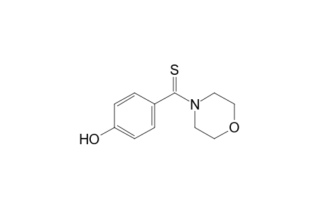4-[p-hydroxy(thiobenzoyl)]morpholine