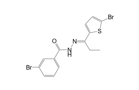 3-bromo-N'-[(E)-1-(5-bromo-2-thienyl)propylidene]benzohydrazide