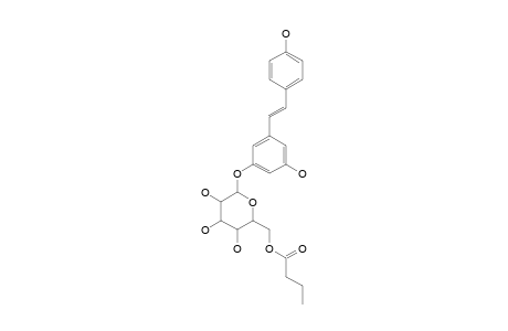 (E)-1-(3-(6'-O-BUTYRYL)-BETA-D-GLUCOPYRANOSYLOXY-5-HYDROXYPHENYL)-2-(4-HYDROXYPHENYL)-ETHENE