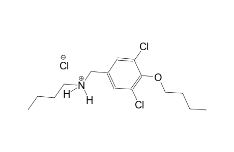N-(4-butoxy-3,5-dichlorobenzyl)-1-butanaminium chloride