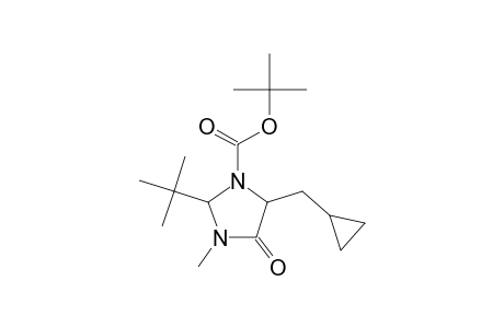 tert-Butyl 2-tert-butyl-5-(cyclopropylmethyl)-3-methyl-4-oxo-1-imidazolidinecarboxylate