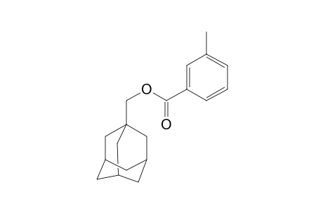 m-Toluic acid, 1-adamantylmethyl ester