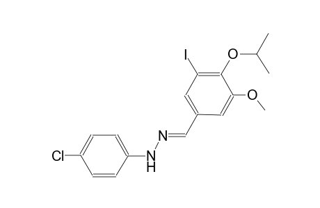 3-iodo-4-isopropoxy-5-methoxybenzaldehyde (4-chlorophenyl)hydrazone