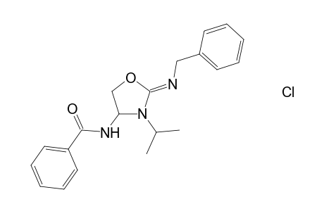 (Z)-2-Benzylimino-4-benzamido-3-isopropyl-1,3-oxzolidine hydrochloride