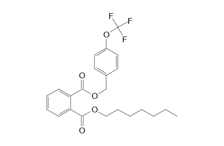 Phthalic acid, heptyl 4-trifluoromethoxybenzyl ester