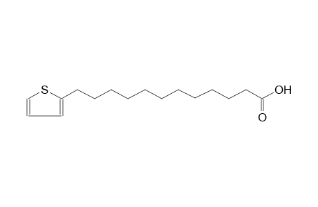 12-(2-thienyl)dodecanoic acid