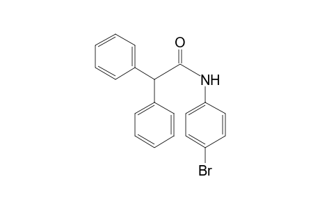 N-(4-bromophenyl)-2,2-diphenyl-acetamide