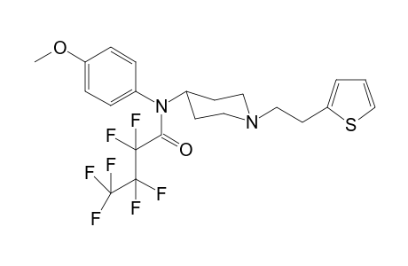 N-(4-Methoxyphenyl)-N-([(2-thiophen-2-yl)ethyl]-piperidin1-yl)heptafluorobutanamide