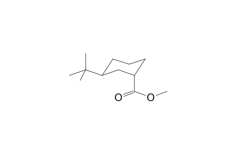 CYCLOHEXANECARBOXYLIC ACID, 3-(1-DIMETHYLETHYL)-METHYL ESTER