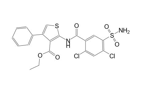 ethyl 2-{[5-(aminosulfonyl)-2,4-dichlorobenzoyl]amino}-4-phenyl-3-thiophenecarboxylate