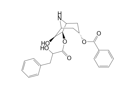 Nortropane-3.alpha.,6,beta.,7.beta.-triol 3-benzoate 7-(2'-hydroxy-3'-phenylpropanoate)