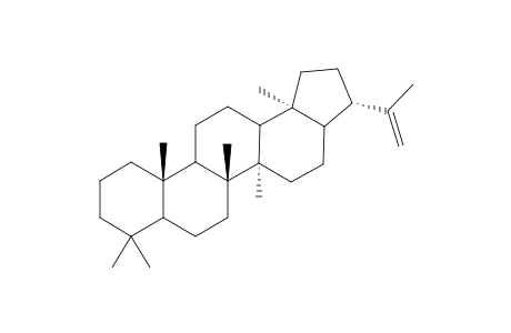 21.alpha.H-Hop-22(29)-ene