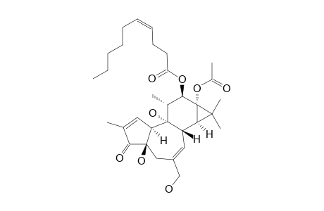 12-O-(4-Z)-DECA-4-ENOYLPHORBOL-13-ACETATE