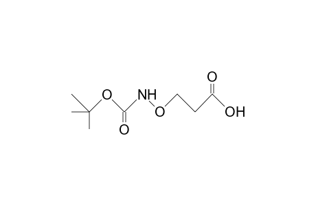 N-(2-Carboxy-ethoxy)-carbamic acid, tert-butyl ester