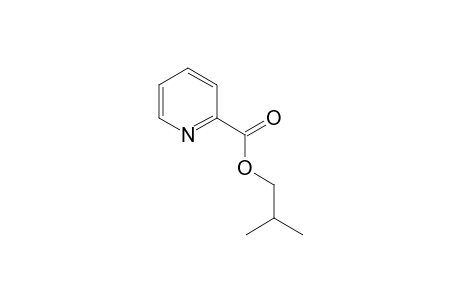 2-Pyridinecarboxylic acid, isobutyl ester