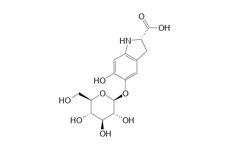(2S)-5-[(2S,3R,4S,5S,6R)-6-(hydroxymethyl)-3,4,5-tris(oxidanyl)oxan-2-yl]oxy-6-oxidanyl-2,3-dihydro-1H-indole-2-carboxylic acid