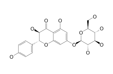 DIHYDROKAEMPFEROL-7-O-BETA-D-GLUCOPYRANOSIDE