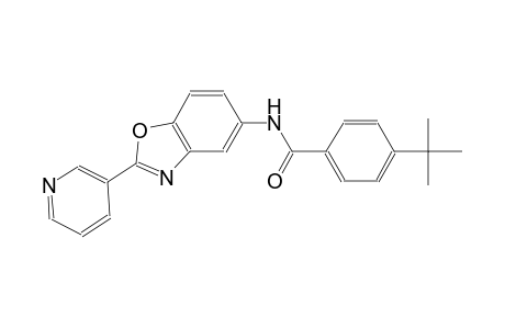 4-tert-butyl-N-[2-(3-pyridinyl)-1,3-benzoxazol-5-yl]benzamide