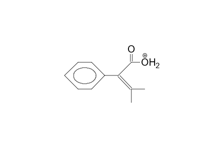 3-Methyl-2-phenyl-2-butenoic acid, protonated
