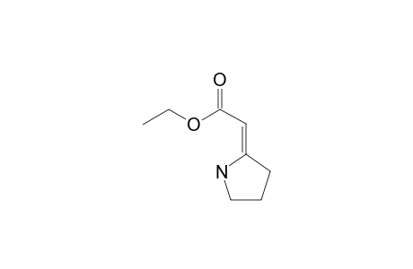 ETHYL-(2Z)-PYRROLIDIN-2-YLIDENEACETATE