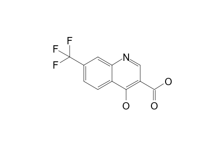 4-Hydroxy-7-trifluoromethyl-3-quinolinecarboxylic acid