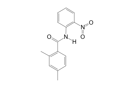 2,4-DIMETHYL-N-(2-NITROPHENYL)-BENZAMIDE