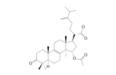 VERSISPONIC-ACID-C;15-ALPHA-ACETOXY-3-OXO-24-METHYLENE-LANOST-8-EN-21-OIC-ACID