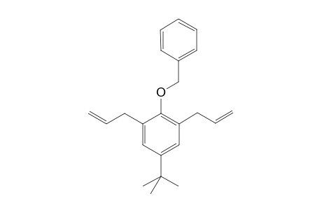 2-Benzyloxy-3-(t-butyl)-1,3-bis(prop-2"-en-1"-yl)benzene