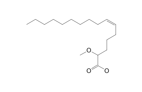 2-METHOXY-6-(Z)-HEXACENOIC_ACID