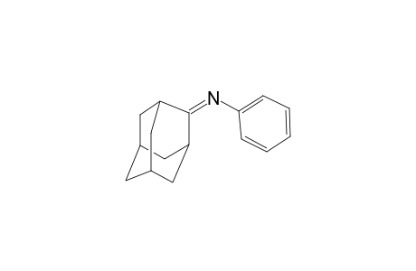 2-PHENYLIMINO-ADAMANTANE