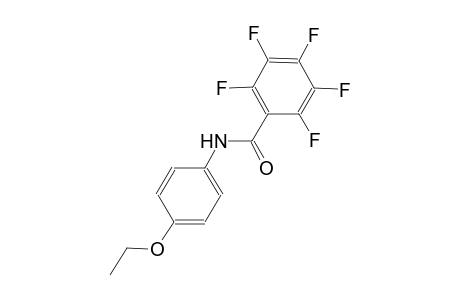 N-(4-ethoxyphenyl)-2,3,4,5,6-pentafluorobenzamide