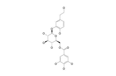 ROCYMOSIN-A;3-O-(6'-O-GALLOYL)-BETA-D-GLUCOPYRANOSYL-4-HYDROXYPHENETHYL-ALCOHOL