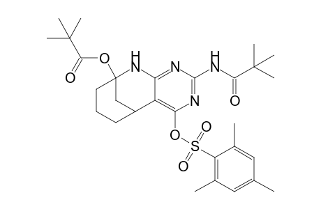 2-Pivaloylamino-9-pivaloyloxy-4-(2',4',6'-trimethylbenzeneesulfonyloxy)-5,6,7,8,9,10-hexahydro-5,9-methanopyrimido[4,5-b]azocine