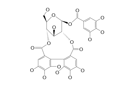 PHYLLANEMBLININ-B;1-O-GALLOYL-2,4-(R)-HEXAHYDROXYDIPHENOYL-BETA-D-GLUCOSE