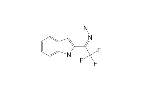 2-(2,2,2-TRIFLUORO-1-HYDRAZONOETHYL)-1H-INDOLE