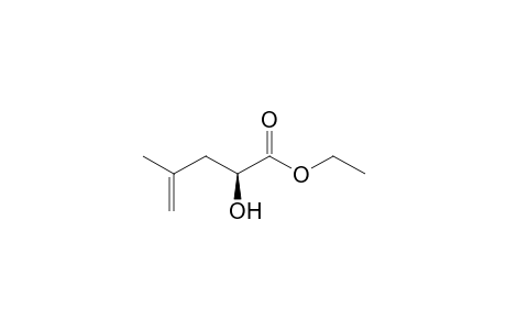 (S)-2-Hydroxy-4-methyl-pent-4-enoic acid ethyl ester