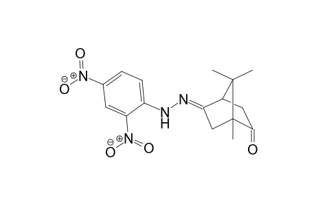 2-Bornanone, 5-(2,4-dinitrophenyl)hydrazono-