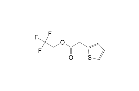 2-Thiophenylacetic acid, 2,2,2-trifluoroethyl ester