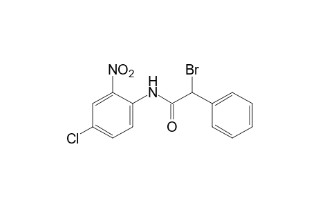 2-bromo-4'-chloro-2'-nitro-2-phenylacetanilide