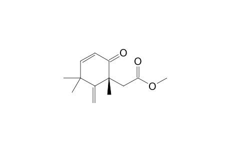2-[(1R)-1,5,5-trimethyl-6-methylene-2-oxo-1-cyclohex-3-enyl]acetic acid methyl ester