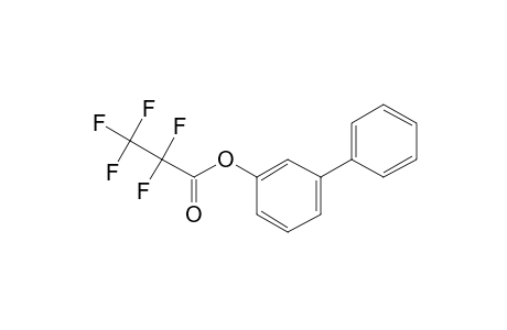 3-Hydroxybiphenyl, pentafluoropropionate