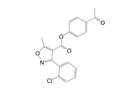 4-isoxazolecarboxylic acid, 3-(2-chlorophenyl)-5-methyl-, 4-acetylphenyl ester